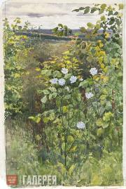 Polenova Yelena. Cichorium. 1894