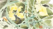 Polenova Yelena. Ornamental Motif with Yellow Daffodil Flower. 1890s