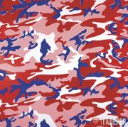 Warhol Andy. Camouflage. 1986