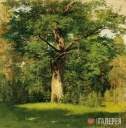 Levitan Isaaс. Oak Tree. 1880