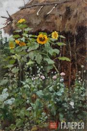 Polenova Yelena. Sunflowers. Sketch. 1885