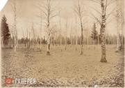 Фотография из личного собрания М.А. Врубеля