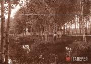 Фотография из личного собрания М.А. Врубеля