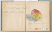 Text and sketch by Maria Yakunchikova in the album dedicated to Stepan Weber
