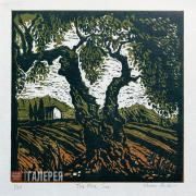 Sharon Pallent. The Olive Tree