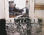 raushenberg_th.jpg raushenberg_th.jpg