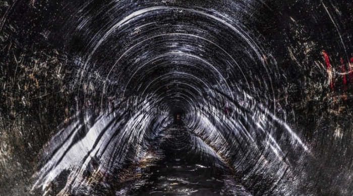 Осенние выставки В PERMM