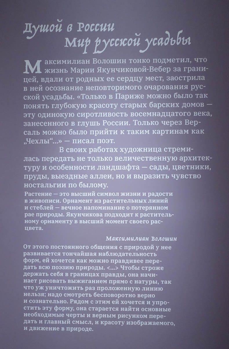 На выставке Марии Якунчиковой-Вебер в Третьяковской галерее