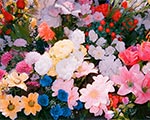 Открытие выставки Саши Ковалевой «Pushing up the wild daisies*» | ММОМА, Гоголевский 10/1